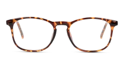 Seen SNOU5003 HH00 50/17