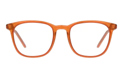 Seen SNOT0003 OO0048/19